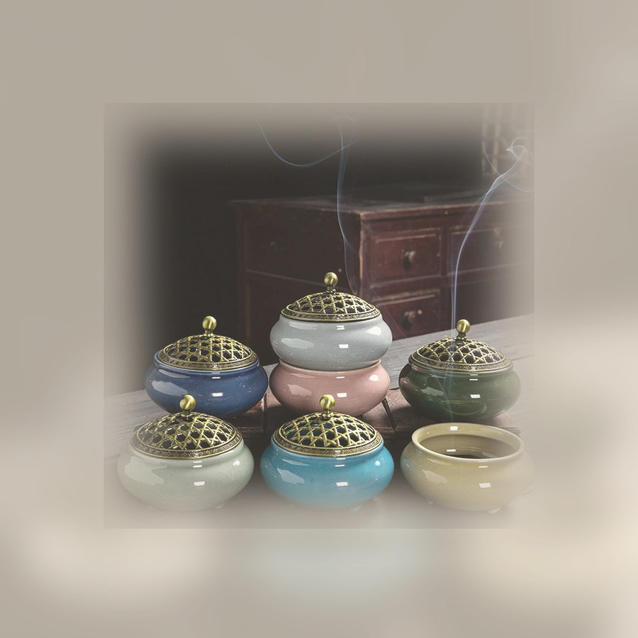 Qinvera guide visual for incense ash for plants with a distinct editorial image matching the article topic.
